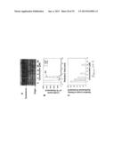 NUCLEAR SULFATED OXYSTEROL, POTENT REGULATOR OF LIPID HOMEOSTASIS, FOR     THERAPY OF HYPERCHOLESTEROLEMIA, HYPERTRIGLYCERIDES, FATTY LIVER     DISEASES, AND ATHEROSCLEROSIS diagram and image