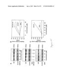 NUCLEAR SULFATED OXYSTEROL, POTENT REGULATOR OF LIPID HOMEOSTASIS, FOR     THERAPY OF HYPERCHOLESTEROLEMIA, HYPERTRIGLYCERIDES, FATTY LIVER     DISEASES, AND ATHEROSCLEROSIS diagram and image