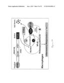 NUCLEAR SULFATED OXYSTEROL, POTENT REGULATOR OF LIPID HOMEOSTASIS, FOR     THERAPY OF HYPERCHOLESTEROLEMIA, HYPERTRIGLYCERIDES, FATTY LIVER     DISEASES, AND ATHEROSCLEROSIS diagram and image