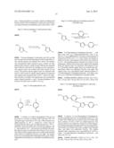 NOVEL COMPOUNDS AND THERAPEUTIC USE THEREOF FOR PROTEIN KINASE INHIBITION diagram and image