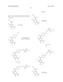 BENZAMIDE DERIVATIVES AND THEIR USE AS HSP90 INHIBTORS diagram and image