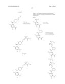 BENZAMIDE DERIVATIVES AND THEIR USE AS HSP90 INHIBTORS diagram and image