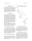 BENZAMIDE DERIVATIVES AND THEIR USE AS HSP90 INHIBTORS diagram and image