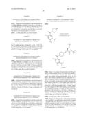 BENZAMIDE DERIVATIVES AND THEIR USE AS HSP90 INHIBTORS diagram and image