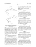 BENZAMIDE DERIVATIVES AND THEIR USE AS HSP90 INHIBTORS diagram and image