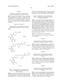 BENZAMIDE DERIVATIVES AND THEIR USE AS HSP90 INHIBTORS diagram and image