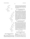 BENZAMIDE DERIVATIVES AND THEIR USE AS HSP90 INHIBTORS diagram and image