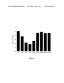 CHEMO- AND RADIATION-SENSITIZATION OF CANCER BY ANTISENSE TRPM-2     OLIGODEOXYNUCLEOTIDES diagram and image