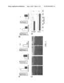 IMPAIRED WOUND HEALING COMPOSITIONS AND METHODS diagram and image