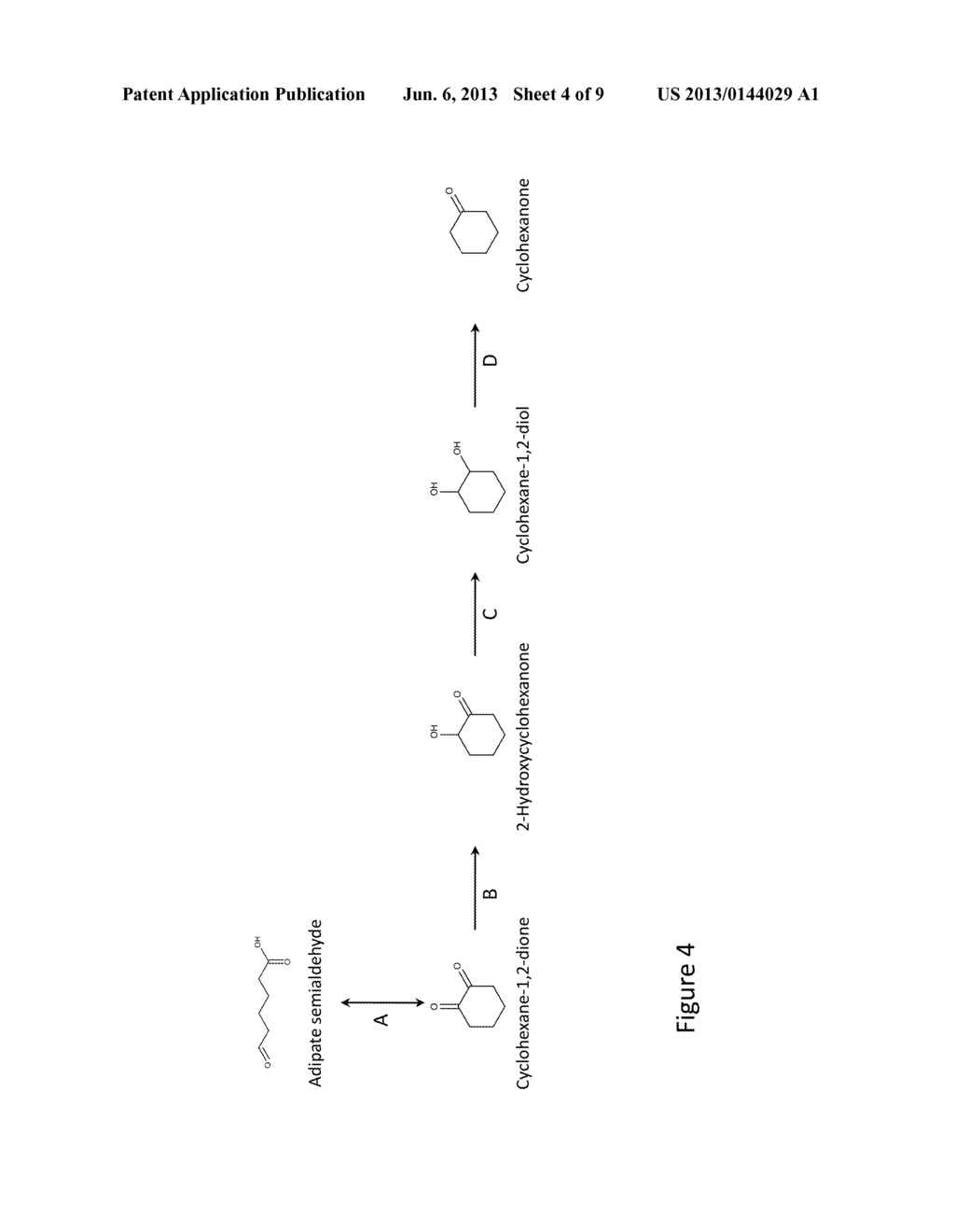 MICROORGANISMS AND METHODS FOR THE PRODUCTION OF CAPROLACTONE - diagram, schematic, and image 05