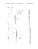 COMPOSITIONS AND METHODS FOR LEUKOCYTE-TARGETING MULTI-VALENT IMAGING     PROBES diagram and image