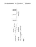 COMPOSITIONS AND METHODS FOR LEUKOCYTE-TARGETING MULTI-VALENT IMAGING     PROBES diagram and image