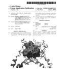 CRYSTAL STRUCTURE OF A MarR FAMILY POLYPEPTIDE diagram and image