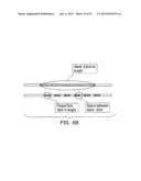 ENDOLUMINAL DEVICE AND METHOD diagram and image