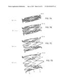 ENDOLUMINAL DEVICE AND METHOD diagram and image