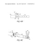 ENDOLUMINAL DEVICE AND METHOD diagram and image