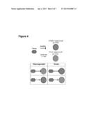 INTEGRATIVE PATHWAY MODELING FOR DRUG EFFICACY PREDICTION diagram and image