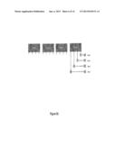 Flexible Microprocessor Register File diagram and image