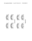 MEGANUCLEASE VARIANTS CLEAVING A DNA TARGET SEQUENCE FROM THE DYSTROPHIN     GENE AND USES THEREOF diagram and image