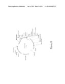 MEGANUCLEASE VARIANTS CLEAVING A DNA TARGET SEQUENCE FROM THE DYSTROPHIN     GENE AND USES THEREOF diagram and image