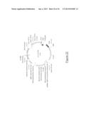 MEGANUCLEASE VARIANTS CLEAVING A DNA TARGET SEQUENCE FROM THE DYSTROPHIN     GENE AND USES THEREOF diagram and image