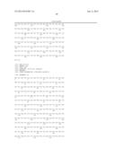 MEGANUCLEASE VARIANTS CLEAVING A DNA TARGET SEQUENCE FROM THE DYSTROPHIN     GENE AND USES THEREOF diagram and image