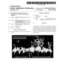 MtNIP REGULATED PLANTS WITH SIGNIFICANTLY INCREASED SIZE AND BIOMASS diagram and image