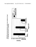 MtNIP REGULATED PLANTS WITH SIGNIFICANTLY INCREASED SIZE AND BIOMASS diagram and image