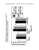 MtNIP REGULATED PLANTS WITH SIGNIFICANTLY INCREASED SIZE AND BIOMASS diagram and image