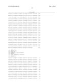 MtNIP REGULATED PLANTS WITH SIGNIFICANTLY INCREASED SIZE AND BIOMASS diagram and image