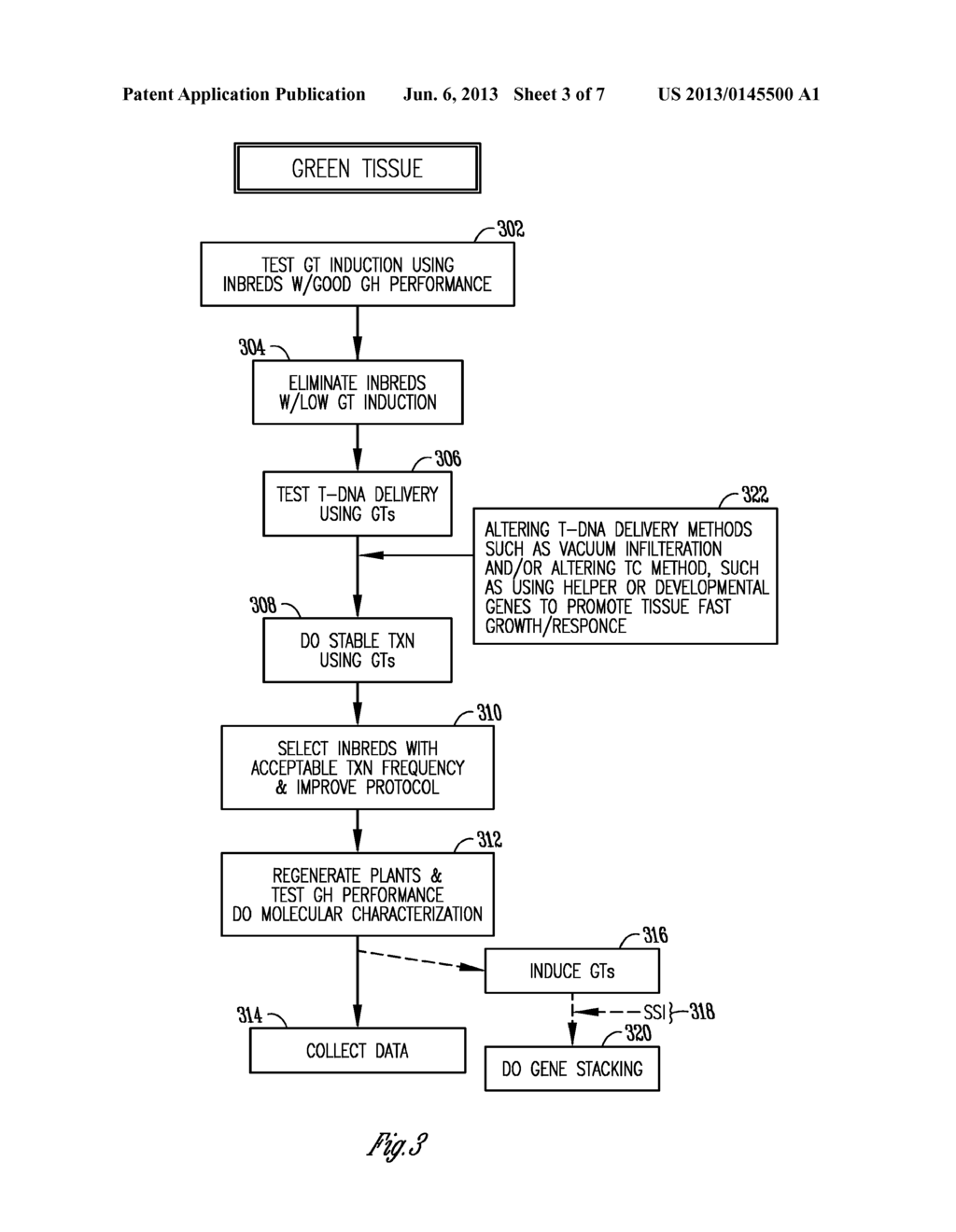 METHOD FOR INCREASING EFFICIENCY OF GERMPLASM SCREENING IN PLANT     TRANSFORMATION - diagram, schematic, and image 04