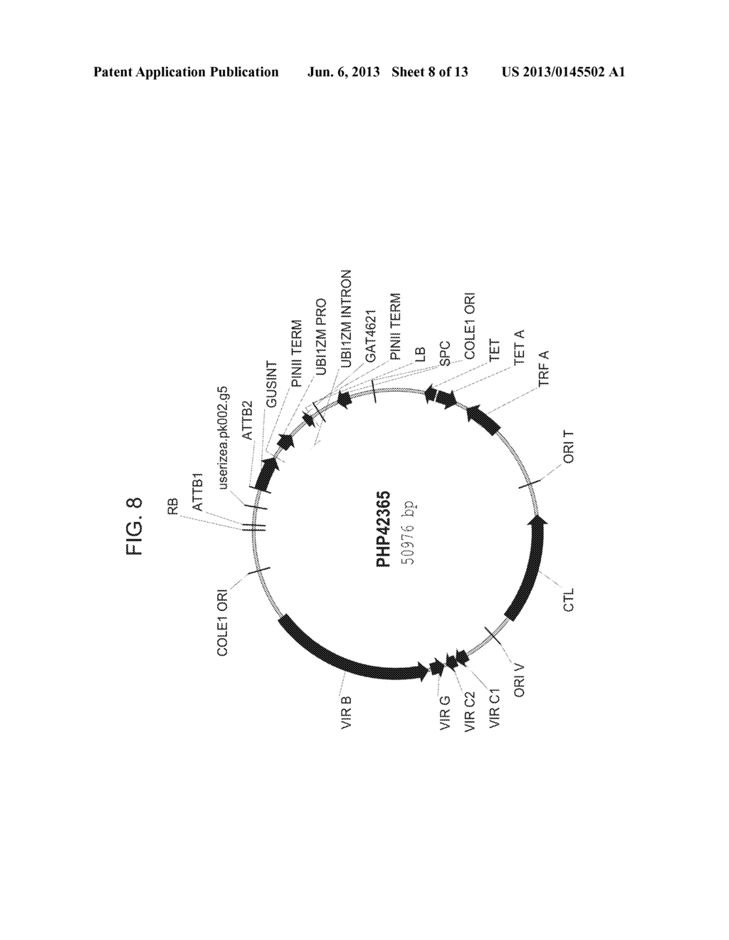 REGULATORY SEQUENCES FOR MODULATING TRANSGENE EXPRESSION IN PLANTS - diagram, schematic, and image 09