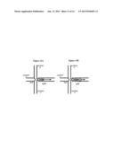 MULTIPHASE NON-LINEAR ELECTROKINETIC DEVICES diagram and image