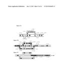 MULTIPHASE NON-LINEAR ELECTROKINETIC DEVICES diagram and image