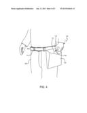 Janitor s Pouch diagram and image