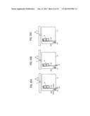 IMAGE FORMING APPARATUS INCLUDING RECORDING HEAD AND HEAD TANK diagram and image