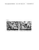 POROUS UO2 SINTERED PELLETS AND METHOD FOR FABRICATING POROUS UO2 SINTERED     PELLETS AND ELECTROLYTIC REDUCTION USING SAME diagram and image