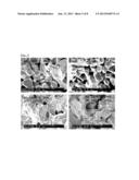 POROUS UO2 SINTERED PELLETS AND METHOD FOR FABRICATING POROUS UO2 SINTERED     PELLETS AND ELECTROLYTIC REDUCTION USING SAME diagram and image