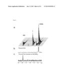 HYPERPOLARIZED AGENTS FOR MRI CHARACTERIZATION OF REDOX SYSTEMS IN VIVO diagram and image