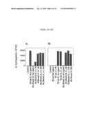 Engineered Dendritic Cells and Uses for the Treatment of Cancer diagram and image