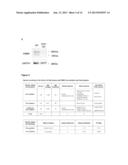 ROLE OF FRAGILE X MENTAL RETARDATION GENE AND PROTEIN IN CANCER METASTASIS diagram and image