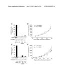 ROLE OF FRAGILE X MENTAL RETARDATION GENE AND PROTEIN IN CANCER METASTASIS diagram and image