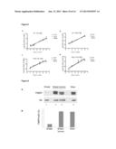 ROLE OF FRAGILE X MENTAL RETARDATION GENE AND PROTEIN IN CANCER METASTASIS diagram and image