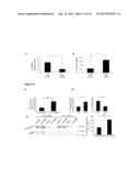 ROLE OF FRAGILE X MENTAL RETARDATION GENE AND PROTEIN IN CANCER METASTASIS diagram and image