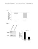 ROLE OF FRAGILE X MENTAL RETARDATION GENE AND PROTEIN IN CANCER METASTASIS diagram and image