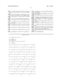 ADJUVANTING MENINGOCOCCAL FACTOR H BINDING PROTEIN diagram and image