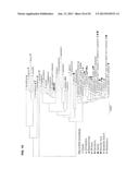 PHARMACEUTICAL PRODUCTS FROM FUNGAL STRAINS diagram and image