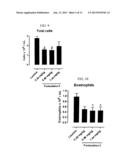 RESPIRABLY DRY POWDER COMPRISING CALCIUM LACTATE, SODIUM CHLORIDE AND     LEUCINE diagram and image