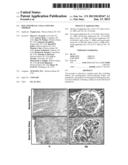 ISOLATED RENAL CELLS AND USES THEREOF diagram and image