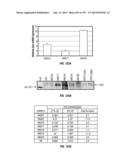 ISOLATED RENAL CELLS AND USES THEREOF diagram and image